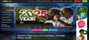 Stakegains: Our Work Driving Organic Growth That Converts