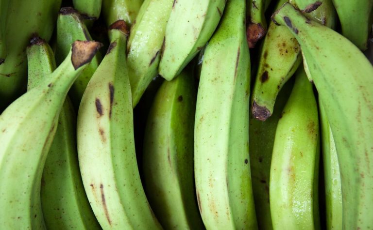 What are the Health Benefits of Unripe Plantain?