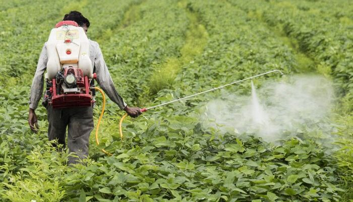 Best Agrochemical Products for Farmers in Ghana